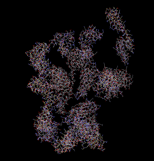 proteins