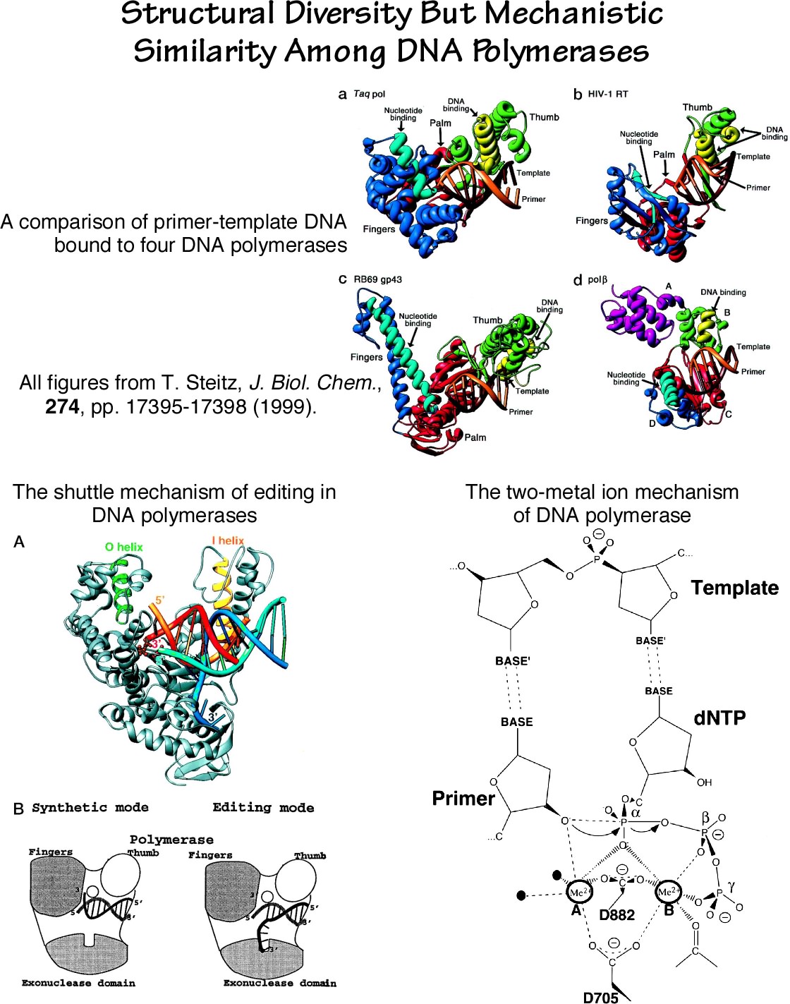 www biochem umd edu