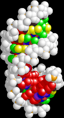 A-RNA 2