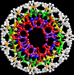 A-RNA 3